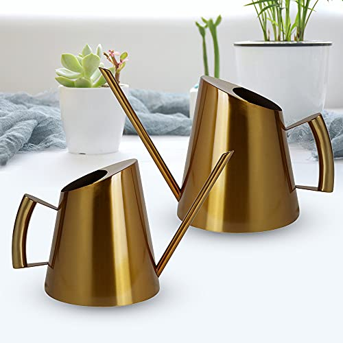 Gießkanne Metall Klein 900ML Blumengießkanne Gartengießkanne Gold Gieskanne Gebürstetem Edelstahl Langer Auslauf für Topfpflanzen, Zimmerpflanzen, Terrassenpflanzen, Hängepflanzen und Gärten