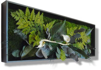 Myvegetal cuadro vegetal estabilizado exótico florido sin mantenimiento - tabla de plantas y decoración de pared de interior, plantas y flores eternas made in France