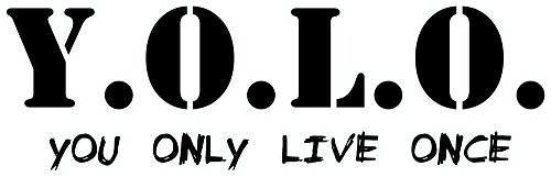 carstyling XXL Aufkleber Y.O.L.O. You only live Once 70 x 190 mm