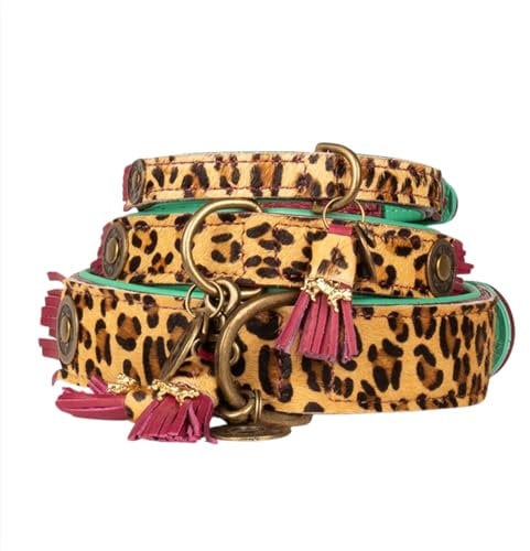 Dog with a Mission - Hundehalsband L | Leopard, Türkis, Braun | Boho, Ethno, Urban, Hippie | Ideal für große Hunde | Handgemacht, Bunt und Modisch Design, Luxe | 4 cm Breit