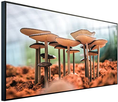 Ecowelle Infrarotheizung mit Bild | 750 Watt | 60x120 cm | Infrarot Heizung| | Made in Germany| a 87 Pilze
