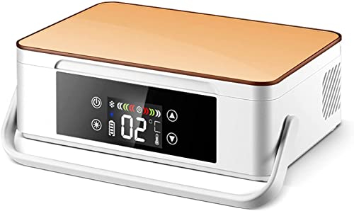 WSMYGS Contenitore per frigorifero per insulina Contenitore per frigorifero portatile per insulina Contenitore per frigorifero da viaggio per frigorifero con display LCD, refrigeratore per insulina