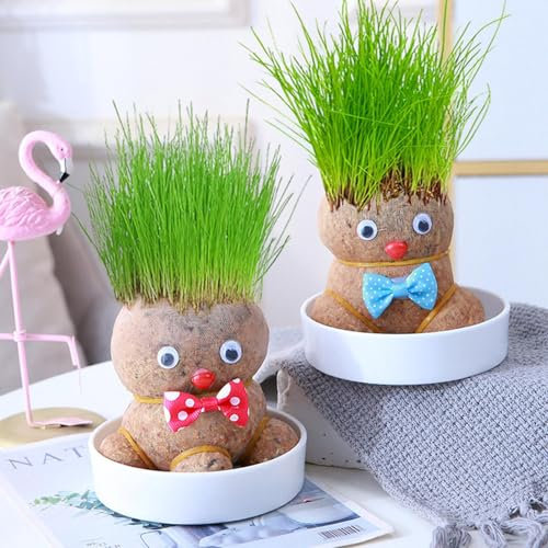 2PCS Grow Your Own Kits, Grass Head Doll Plant, Grass Heads for Kids to Grow, Desktop Green Plants, Cute and Funny GIF-t for Men Women Kids, Fresh Grass Plant for Home and Garden Decoration