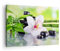 Bilder auf Leinwand blume orchidee Leinwandbild mit Rahmen 70x50cm Wandbilder Dekoration Wohnzimmer Schlafzimmer Küche Deko Klein Wanddeko Bild Wand Kunstdruck Art Wall Decor Canvas AA70x50-3659