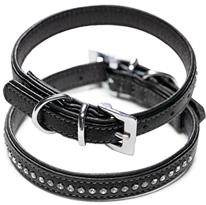 Hundehalsband aus Echt-Leder mit Strasssteinen/Kristall besetzt – funkelndes Hunde und Katzen Halsband aus gepolsterten und doppellagigen Büffelleder - Lederhalsband Audrey (XS (19.0-23.5cm), Schwarz)