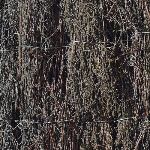 Nortene Brezo Rustico ESPAÑOL BRUC Extra 2X3 M