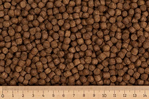 (Grundpreis 1,88 Euro/kg) - 30 kg Koifutter Basic-OREA 6,0 mm - schwimmend - Koi