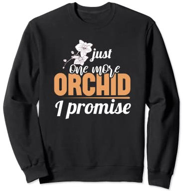 Orchids Orchids Phalaenopsis | Dendrobium Orchidee Orchid Felpa