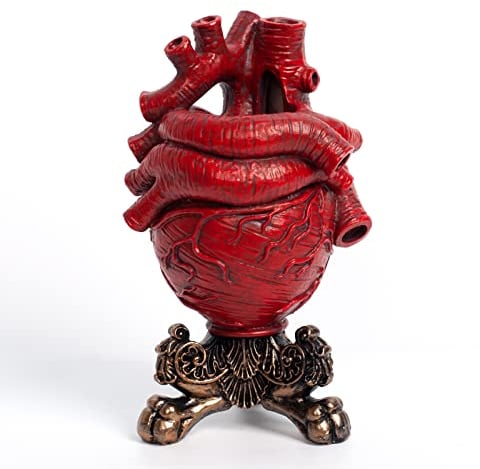 BEMKWG Gothic Anatomisches Herz Vase Modern Home Deko Harz Heart Flower Vasen Pampasgras Blumenvase Dekorative Boho Decor Aesthetic Herzvase (Rot)