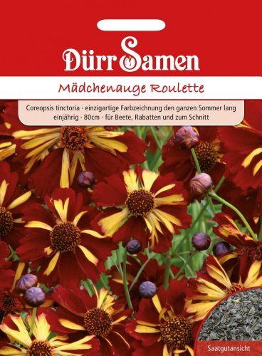 Dürr Samen 1149 Mädchenauge Roulette (Mädchenaugensamen)