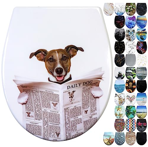 Fanmitrk Duroplast Toilet Seat Soft Close -Quick Release Toilet Lid with Top Fixing,Various Patterns to Choose from (UF819-15)