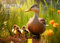 Edition Seidel Premium Kalender Enten soziale Tiere 2025 Format DIN A3 Wandkalender Vogelkalender Vogel Wasservogel Erpel Küken Entenfamilie heimische Vögel Melanie Viola