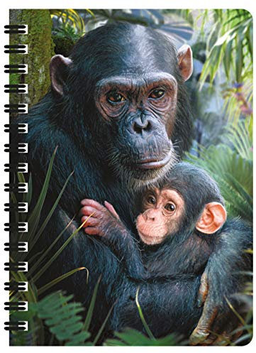 3D LiveLife Jotter - Süße Kuscheln von Deluxebase. Linsenförmiges 3D-Schimpansen-A6-Spiralblock. Liniertes Notizbuch mit Kunstwerken, die vom bekannten Künstler David Penfound lizenziert wurden