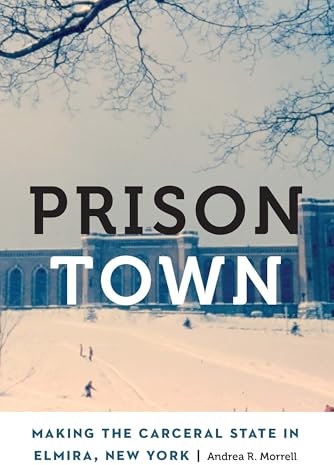 Prison Town: Making the Carceral State in Elmira, New York (Anthropology of Contemporary North America)