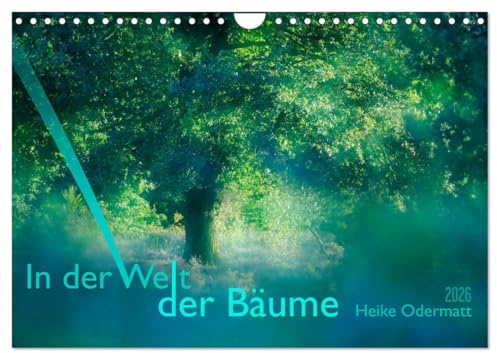 In der Welt der Bäume (Wandkalender 2026 DIN A4 quer), CALVENDO Monatskalender: Bäume, unsere wunderbaren Weggenossen. (CALVENDO Natur)