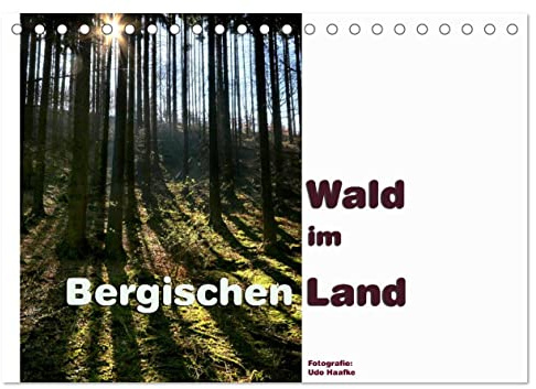 Wald im Bergischen Land 2026 (Tischkalender 2026 DIN A5 quer), CALVENDO Monatskalender: Die Wälder des Bergischen Landes bieten Erholung für Auge und Gemüt (CALVENDO Natur)