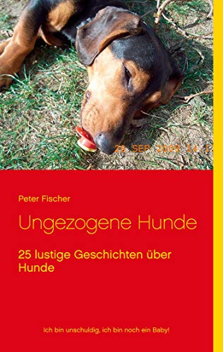 Ungezogene Hunde: 25 lustige Geschichten über Hunde