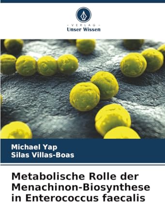 Metabolische Rolle der Menachinon-Biosynthese in Enterococcus faecalis