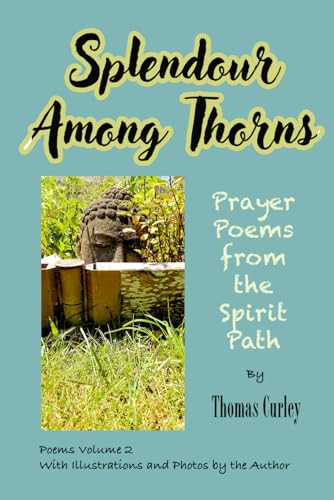 Splendour Among Thorns: Prayer Poems from the Spirit Path