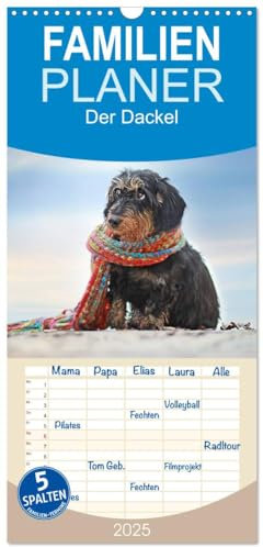 Familienplaner 2025 - Der Dackel mit 5 Spalten (Wandkalender, 21 cm x 45 cm), CALVENDO