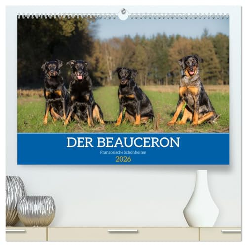 Der Beauceron (hochwertiger Premium Wandkalender 2026 DIN A2 quer), Kunstdruck in Hochglanz: Der Beauceron ist eine alte französische Hunderasse, die ... Wachhund gezüchtet wurde. (CALVENDO Tiere)