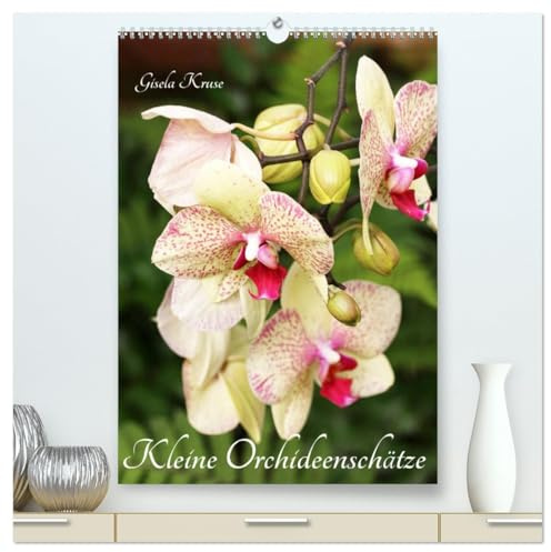 Kleine Orchideenschätze (hochwertiger Premium Wandkalender 2026 DIN A2 hoch), Kunstdruck in Hochglanz: Eine Schatztruhe voller Blüten-Juwelen (CALVENDO Natur)