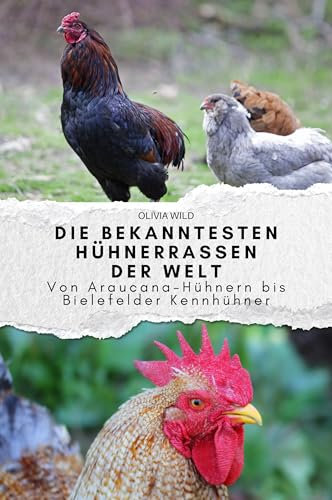 Die bekanntesten Hühnerrassen der Welt: Von Araucana-Hühnern bis Bielefelder Kennhühner. Das perfekte Geschenk für Männer und Frauen zu Weihnachten und Geburtstag