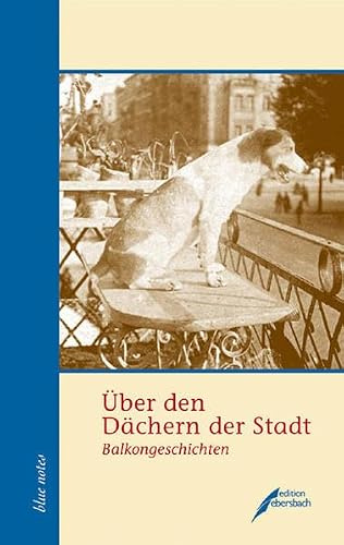 Über den Dächern der Stadt: Balkongeschichten (blue notes)