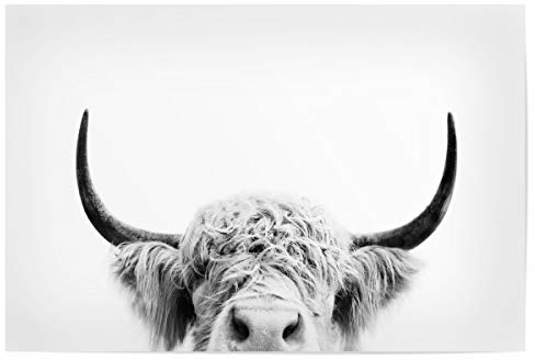 artboxONE Poster 120x80 cm Tiere Peeking Cow BW - Bild schwarz und weiß hochland Kuh Kindergarten Kunst