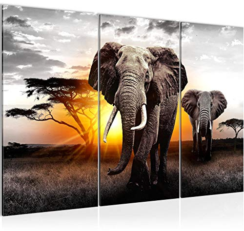Runa Art Wandbilder Afrika Elefant Bild XXL Wohnzimmer Schlafzimmer Grau Orange Panorama 120 x 80 cm 3 Teilig 007631a