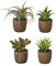 LOLAhome Set de 4 Plantas Artificiales Cactus de plástico con macetade Pasta de Papel de Ø 6x10 cm