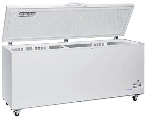 Congélateur Bahut Professionnel - 700 Litres - Cool Head