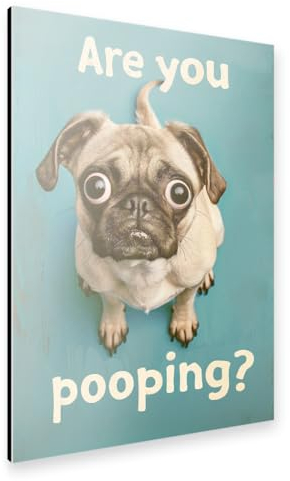 artboxONE Alu-Print 120x80 cm Are You Pooping x Pug von Knstler Deckers Atelier