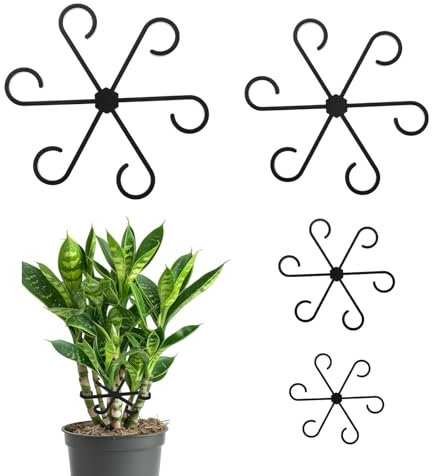 4Pcs Climbing Houseplant Stem Supports, Plastic Plant Climbing Support for Indoor Plants, Reusable House Plant Support, Plant Stem Hook Growth Accessories for Stem Growth (Black)