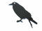 Miniblings Krähe Brosche Rabe Vogel Pin Tier Anstecker Acrylglas schwarz - Handmade Modeschmuck I Anstecknadel Button Pins