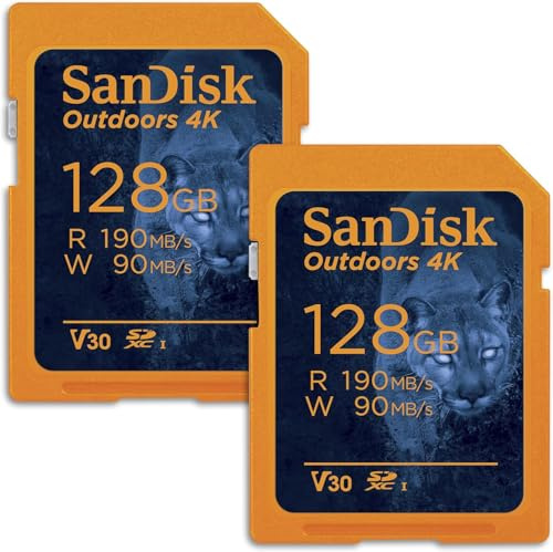 SanDisk Lot de 2 cartes mémoire 4K SDXC UHS-I 128 Go pour l'extérieur jusqu'à 180 Mo/s, C10, U3, V30, appareil photo Trail – SDSDXWA-128G-GN6V2