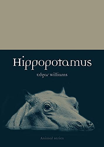 Hippopotamus (Animal)