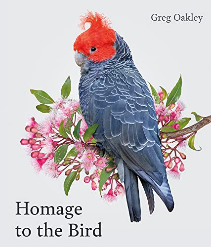 Acc Art Books