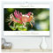Honeysuckle Rose - Jazz-Standards ins Bild gesetzt (hochwertiger Premium Wandkalender 2025 DIN A2 quer), Kunstdruck in Hochglanz