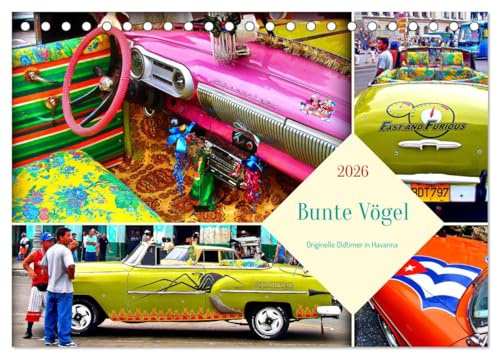 Bunte Vögel - Originelle Oldtimer in Havanna (Tischkalender 2026 DIN A5 quer), CALVENDO Monatskalender: Kunstvoll verzierte Oldtimer auf den Straßen Kubas (CALVENDO Mobilitaet)