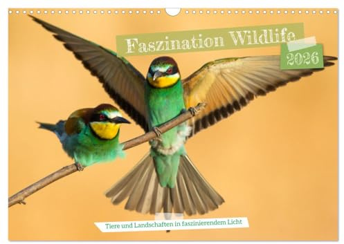 Faszination Wildlife (Wandkalender 2026 DIN A3 quer), CALVENDO Monatskalender: Es werden Tiere und Landschaften in besonderem Licht gezeigt. (CALVENDO Tiere)