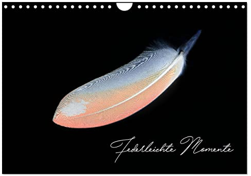 Federleichte Momente (Wandkalender 2026 DIN A4 quer), CALVENDO Monatskalender: Federn in einem anderen Licht (CALVENDO Tiere)