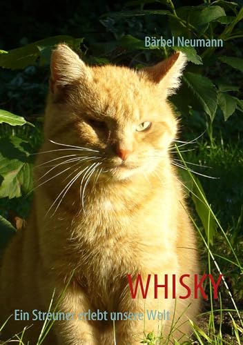 WHISKY: Ein Streuner erlebt unsere Welt