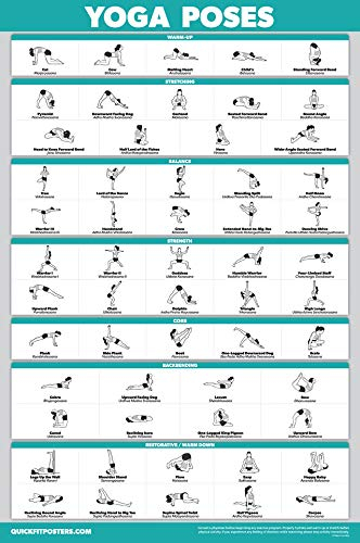 Palace Learning QuickFit Yoga Position Übungsposter – Yoga Asana Poses Chart – laminiert, 45,7 x 68,6 cm