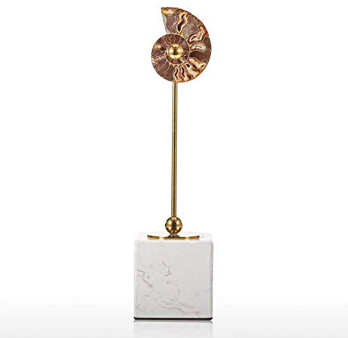 Statuen Dekoartikel & Figur Skulpturen Figuren Nautilus Shell Bleibt Skulptur Quadratischer Marmorsockel Dekoration