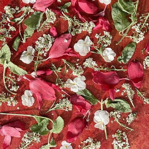 Edible Flowers - 'Noelle' Freeze Dried Flower and Leaf Mix - Certified Food Grade (554)