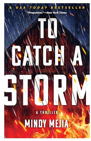 To Catch a Storm (Iowa Mysteries Series, 1, Band 1)