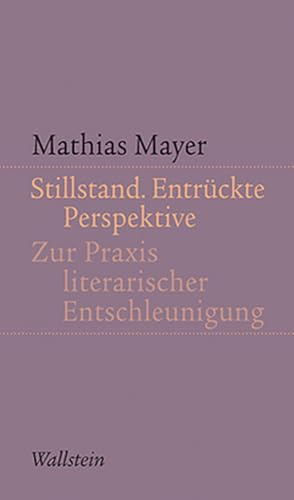 Stillstand. Entrückte Perspektive: Zur Praxis literarischer Entschleunigung (Kleine Schriften zur literarischen Ästhetik und Hermeneutik)