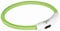 Trixie Flash Leuchtring USB XS - S (35 cm/ø 7 mm) grün