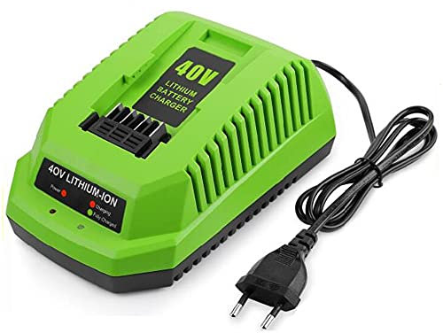 Diheohg Chargeur de Batterie au Lithium 40V pour GreenWorks 29482 G-MAX 40V Batterie Li-Ion 29472 29482 29652 G40825 Prise EuropéEnne